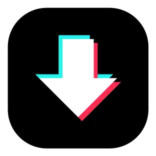 Tiktok video downloader logo