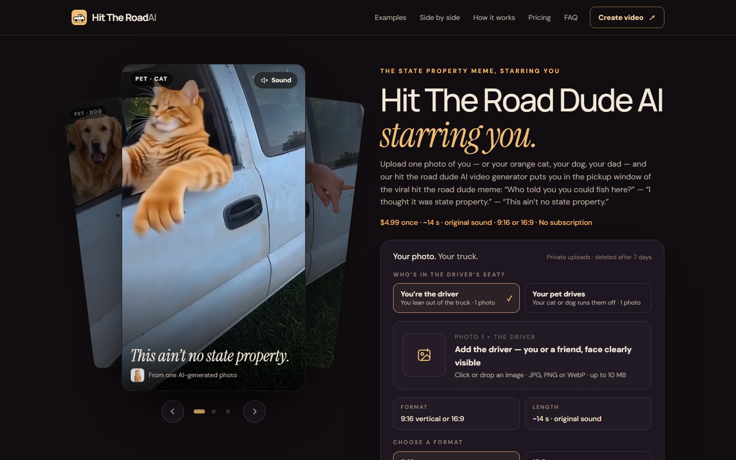 Hit The Road Dude AI screenshot 1 - Put yourself or your cat in the viral hit the road dude meme from one photo