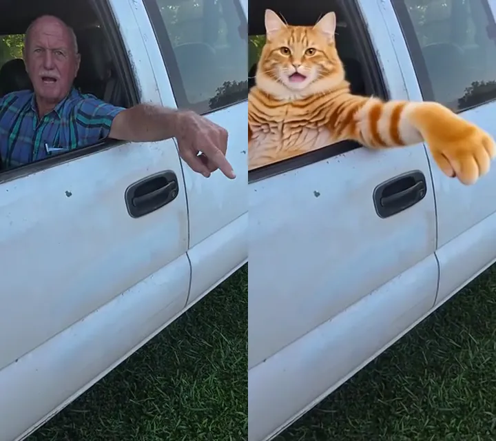 Hit The Road Dude AI screenshot 2 - Put yourself or your cat in the viral hit the road dude meme from one photo